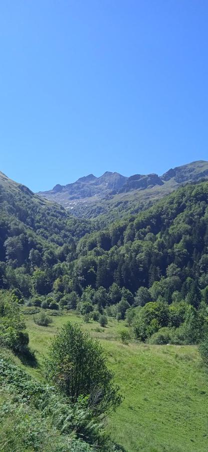 Studio Le Mont Beas Aulus-les-Bains Esterno foto